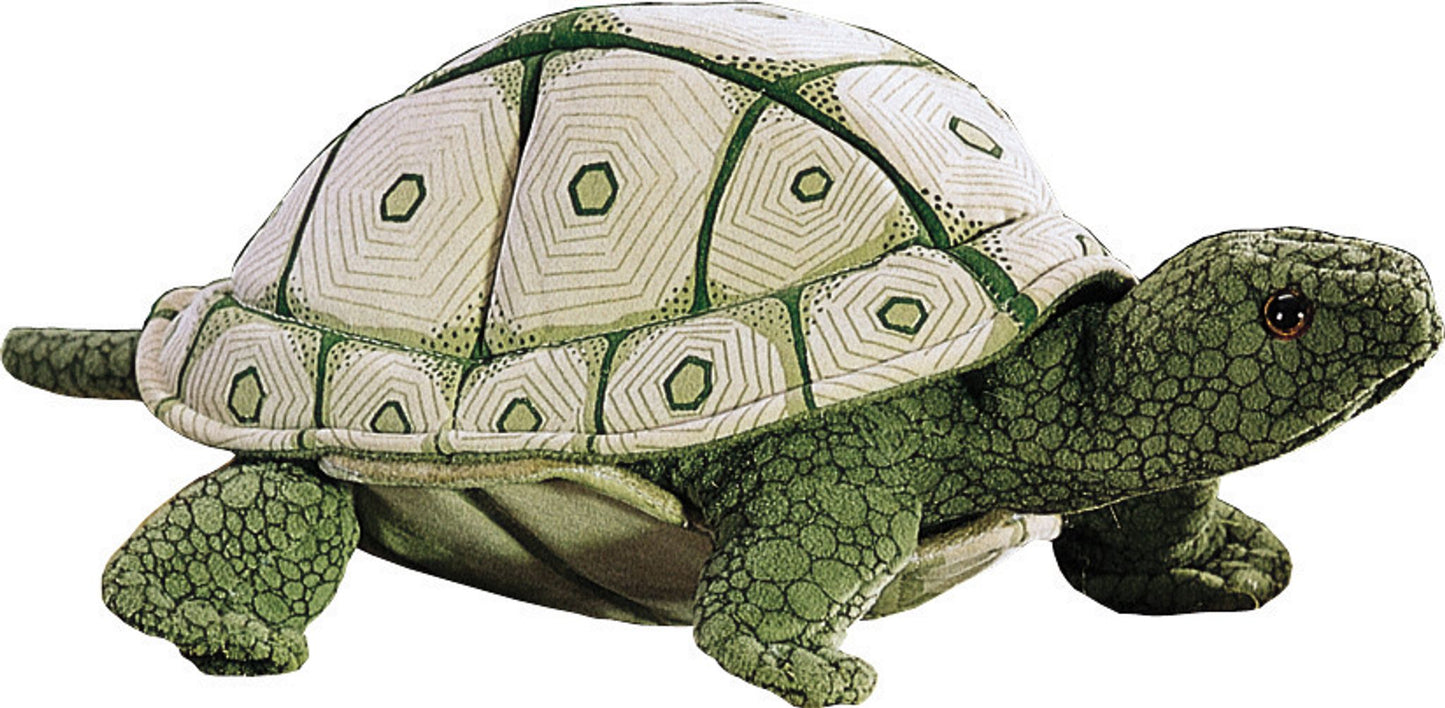 Tortue