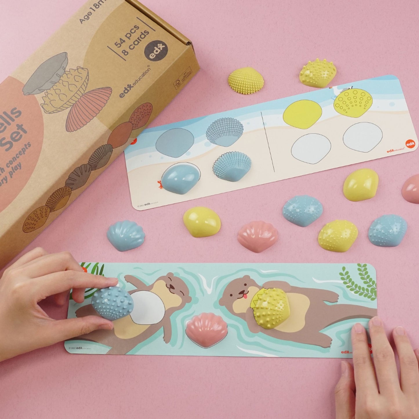 Ensemble d'activités coquillages tactiles