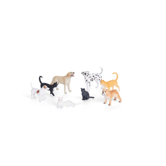 Cats and Dogs
