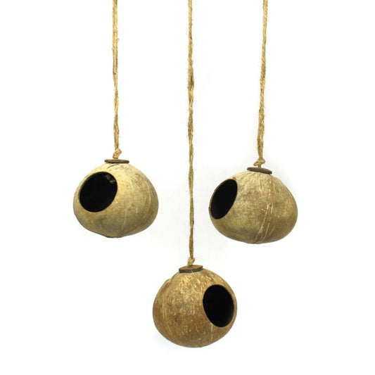 Maisons d'oiseaux coconut