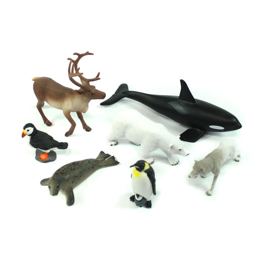 Animaux arctiques