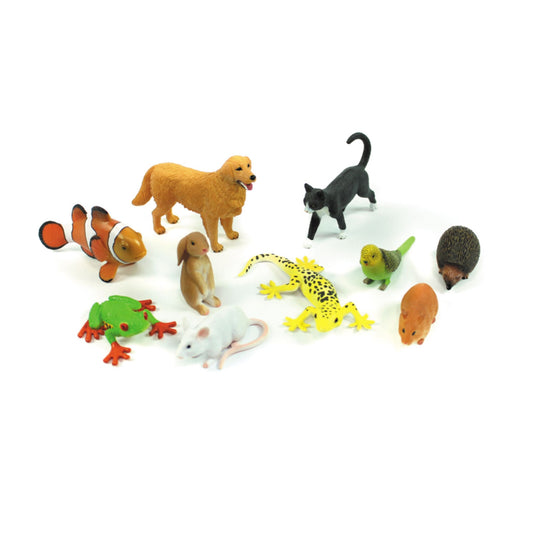 Animaux de compagnie