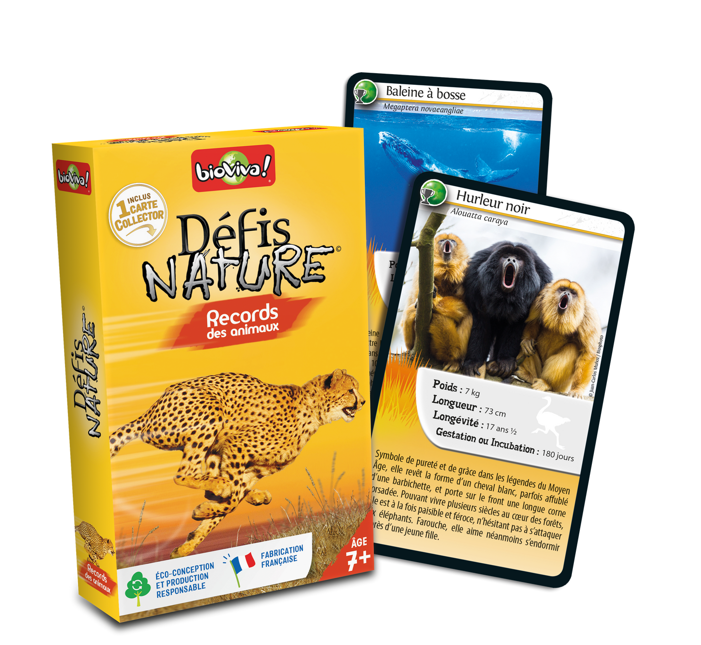 Défis Nature
