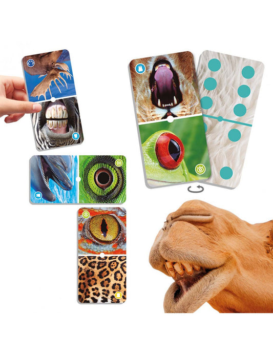 Natudomino – Le zoom des animaux