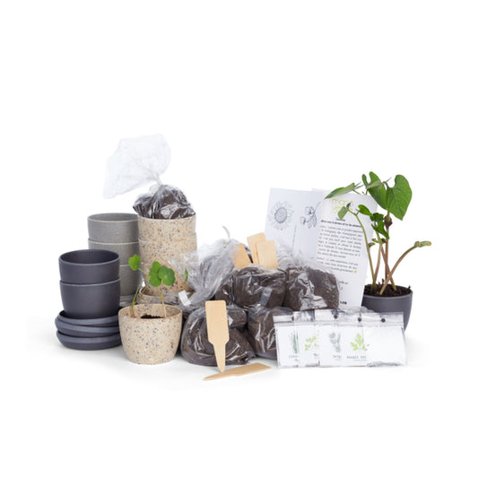Trousse de plantation de luxe – 10 pots