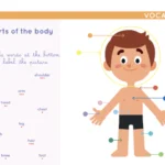 Etoilium - ext. Chevalet "Have Fun with English"  (fr)