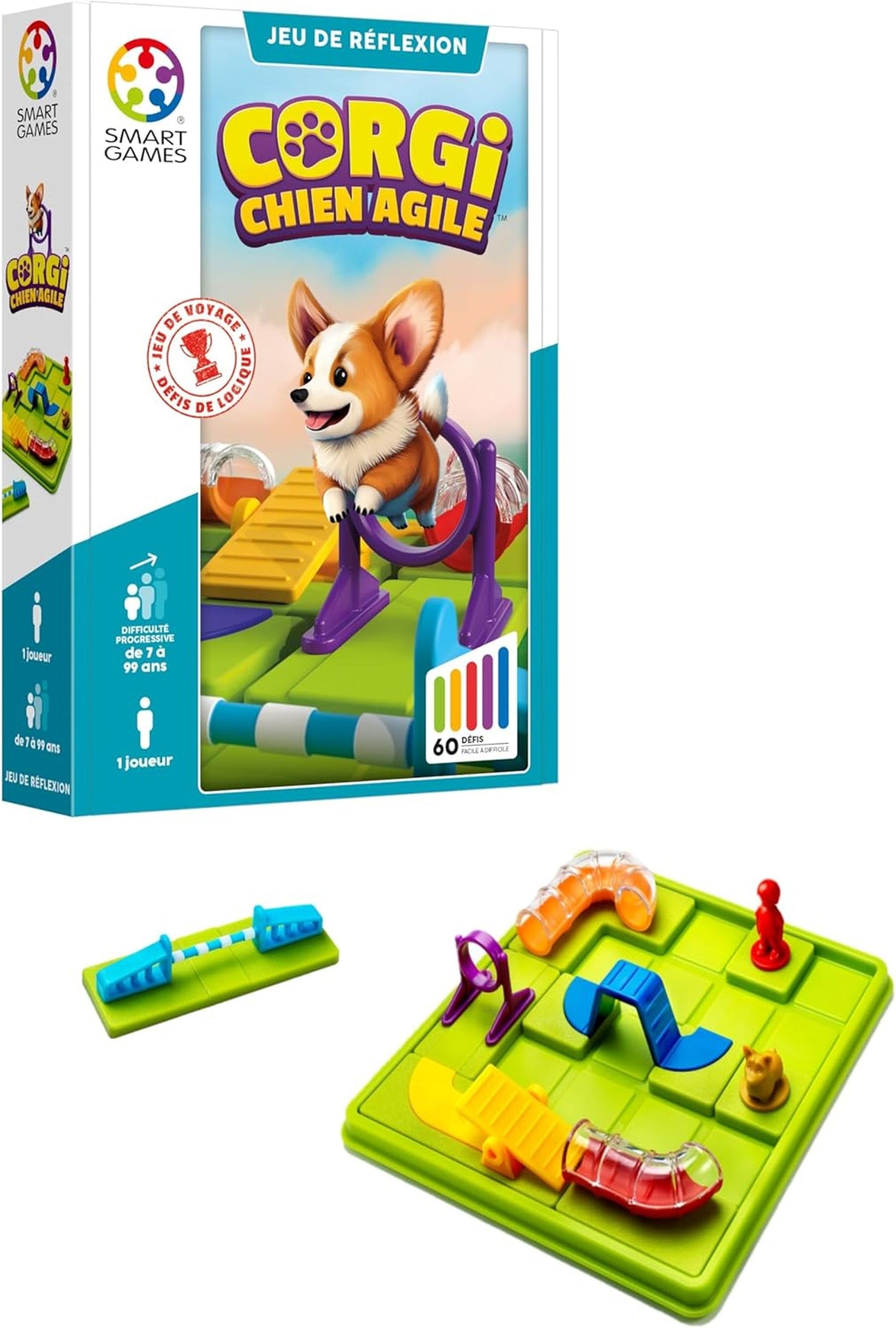 Corgi, the agile dog