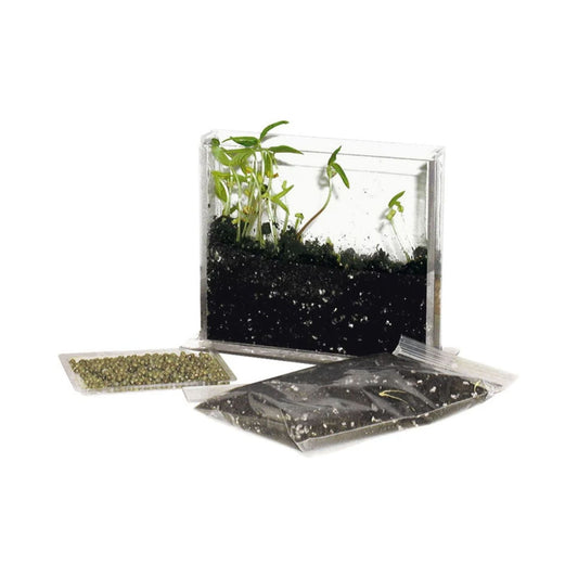 Clear germinator