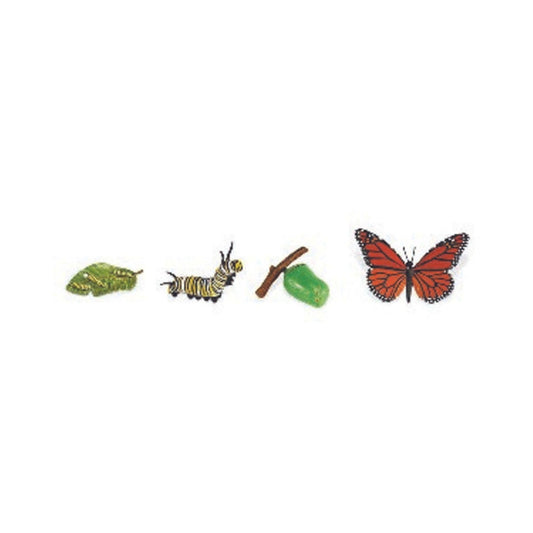 Life Cycles – Monarch Butterfly