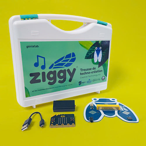 Ziggy et les insectes chanteurs