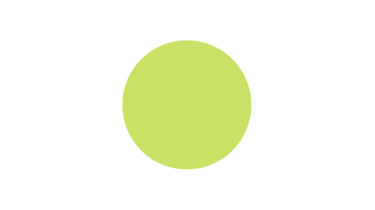 Carton Brillocolor (Donvale) – Couleurs vives