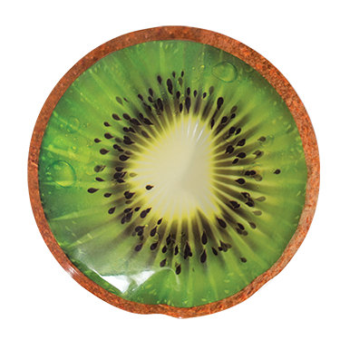 Blocs Réfrigérants – Pqt. De 2