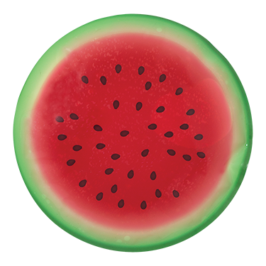 Blocs Réfrigérants – Pqt. De 2
