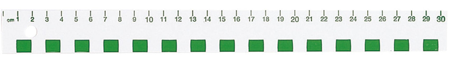 Règle en plastique opaque