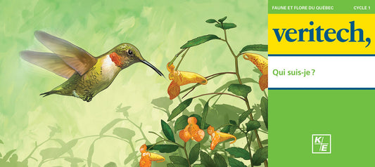 Veritech – Qui suis-je?
