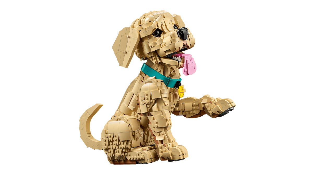 LEGO - 11384 - Le chiot golden retriever - Icons