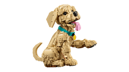 LEGO - 11384 - Le chiot golden retriever - Icons