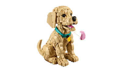 LEGO - 11384 - Le chiot golden retriever - Icons