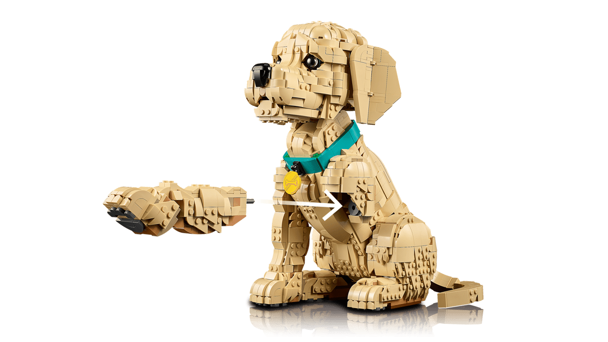 LEGO - 11384 - Le chiot golden retriever - Icons