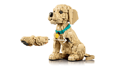 LEGO - 11384 - Le chiot golden retriever - Icons
